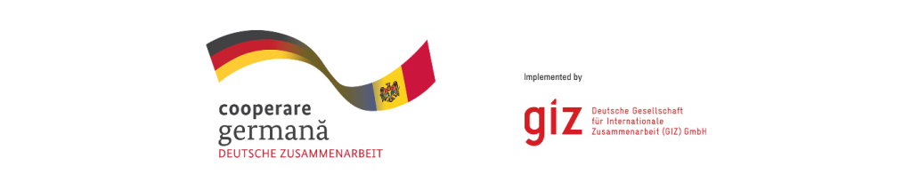 giz logo.png